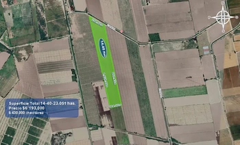 9_2933 | 14.40 HECTAREAS AGRÍCOLAS Ejido Suarez (Campo Gastelum y Cohuibampo), Ahome Sinaloa | Integralia Grupo Inmobiliario