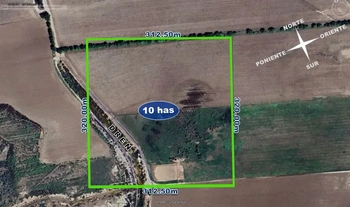 9_2455 | 10 hectareas uso agricola  Zaratajoa Bacahui, Guasave, Sinaloa | Integralia Grupo Inmobiliario